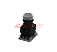 MFG M22FP-ASB11E30W.jpg Image