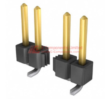 TSM-xxpos-01-gold-tin-SV.jpg Image