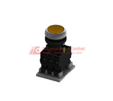 MFG M22FP-ASB11E30Y.jpg Image