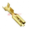 170015-1 Image