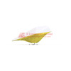 AIRBIRD PLUS PAINTABLE WHITE Image